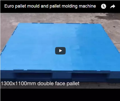 Euro pallet mould and pallet molding machine